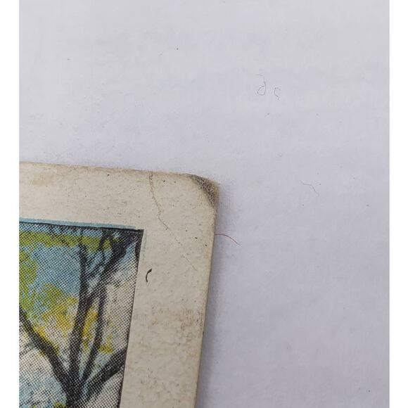 c1924 Refrectory, Minnehaha, Minneapolis, Minnesota 106 Vintage Postcard - Picture 11 of 13